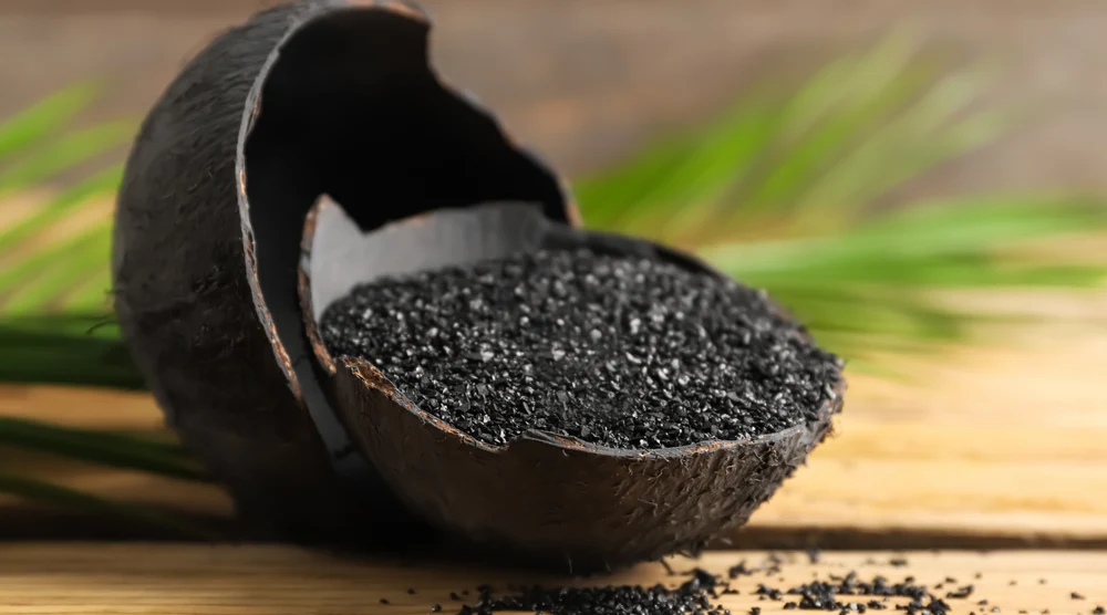 coconut shell granular activated carbon